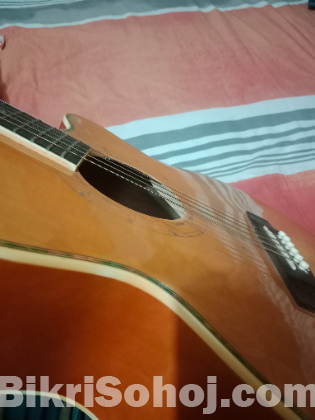Guitar